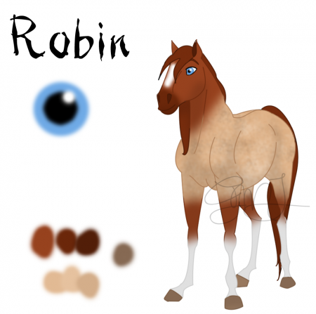 Detail Robin (GMJ)