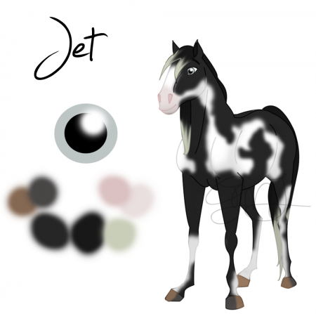 Detail Jet (GMJ)