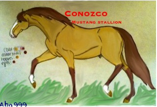 Detail Conozco