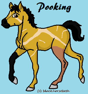 Detail Pooking