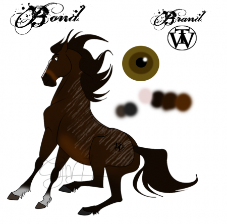 Detail Bond (GMJ)