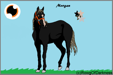 Detail Morgan (AHG and BS)