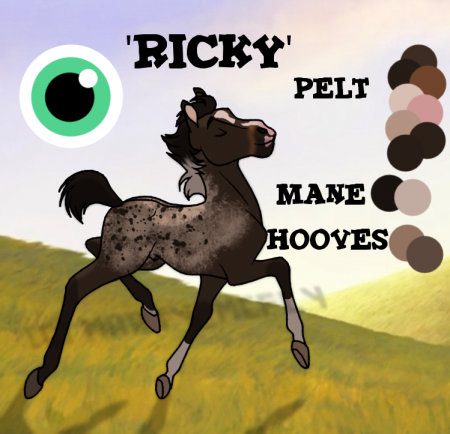 Detail .Ricky.
