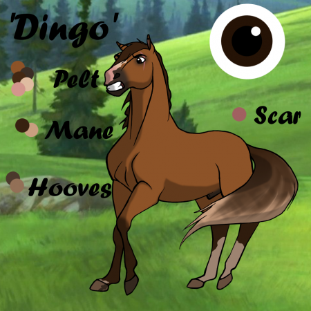 Detail .Dingo.
