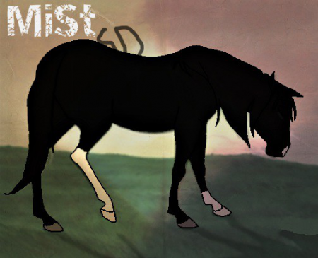 Detail Black Mist 