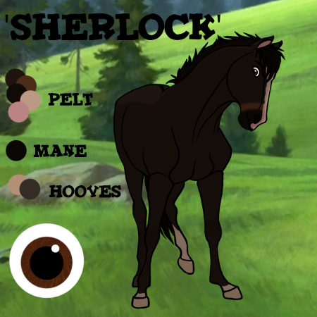 Detail Sherlock