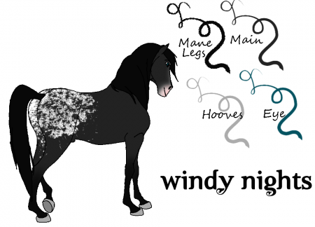Detail Windy Nights