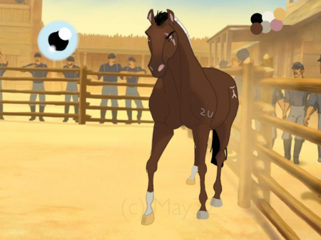 Detail Brace (Horsesrule000)