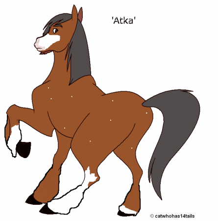Detail Atka (Blu)