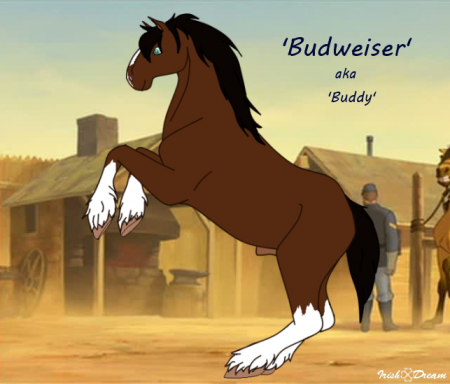 Detail Budweiser (ID)