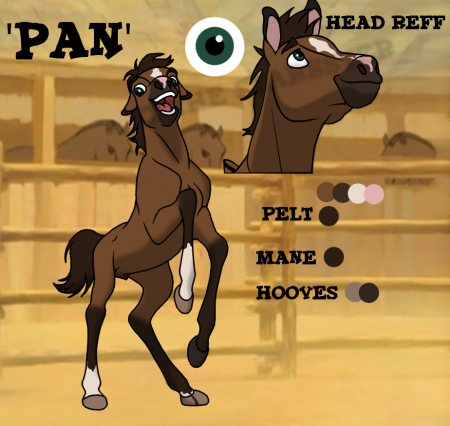 Detail Pan