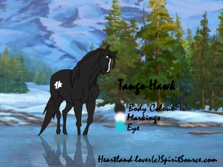 Detail Tango-Hawk (Heartland-lover)