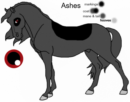 Detail Ashes(LugiaLover)