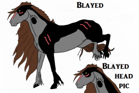 Detail Blayed