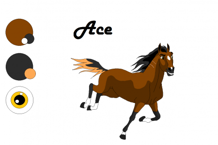 Detail ~Ace~
