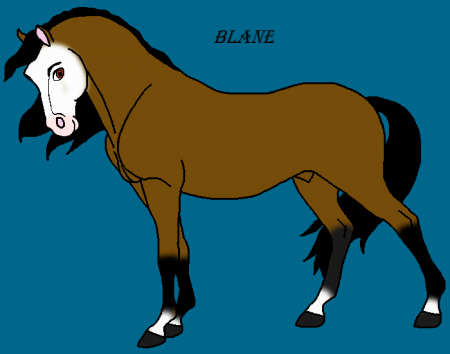 Detail Blane