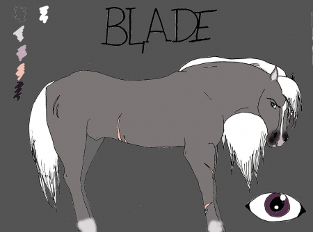 Detail Blade (R13) 