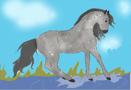 Detail Splash (R13)