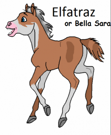 Detail Bella Sara