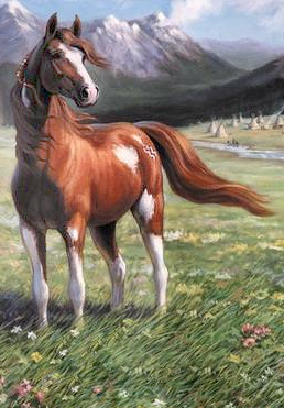 Detail Sierra (Book)