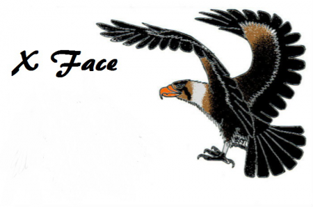 Detail X Face