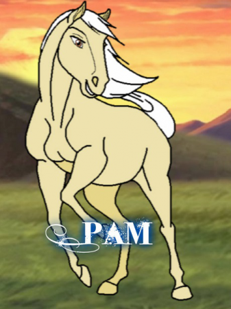 Detail Pam