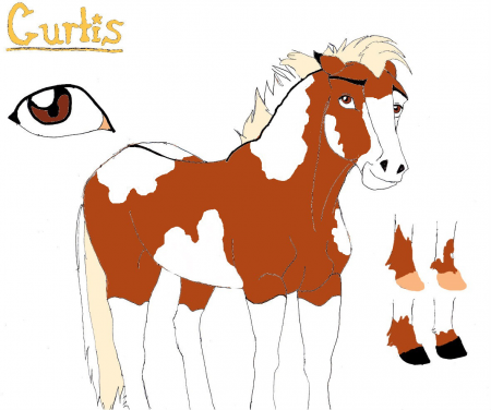 Detail Curtis (R13)
