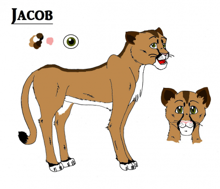 Detail Jacob (R14)