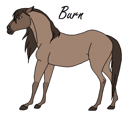 Detail Burn