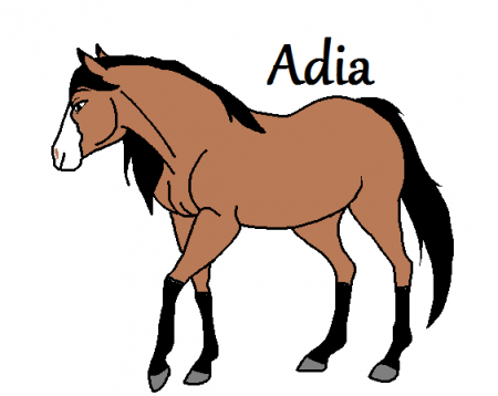 Detail Adia