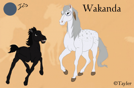Detail Wakanda (Tayler)