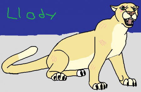 Detail Llody