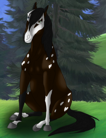 Detail Tiger Eye