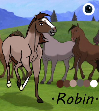 Detail .:Robin:.