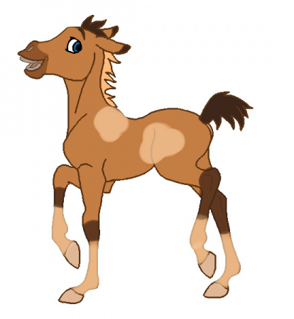 Detail Cimarron 