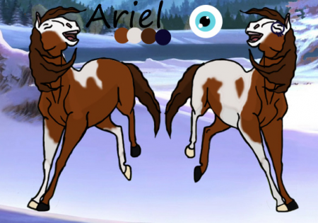Detail Ariel.