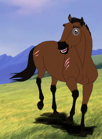 Detail Rocky (Appy)