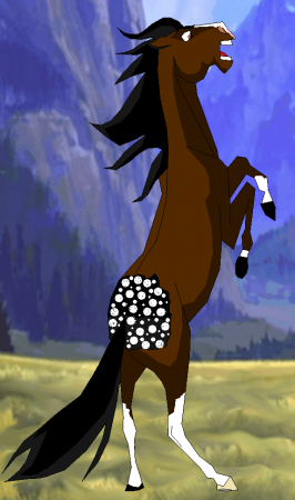 Detail Izio