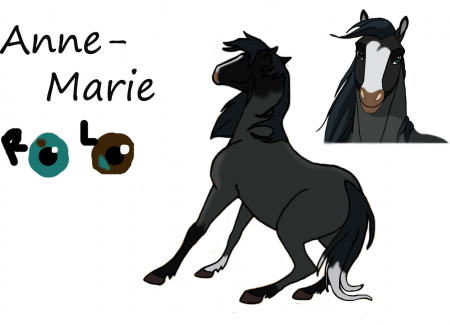 Detail Anne-Marie