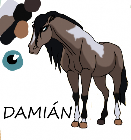 Detail Damiàn
