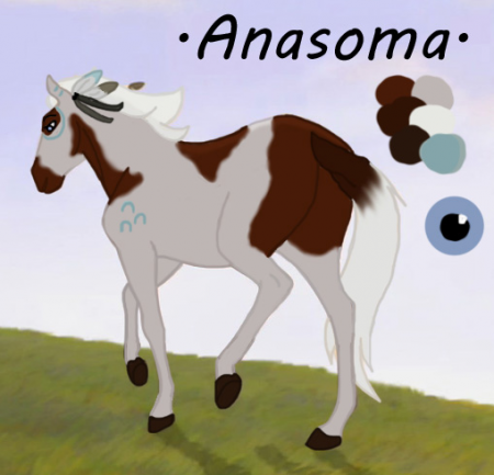 Detail Anasoma