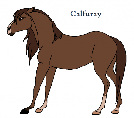 Detail Calfuray (WW)