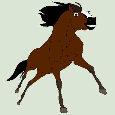 Detail Cowboy(WO)