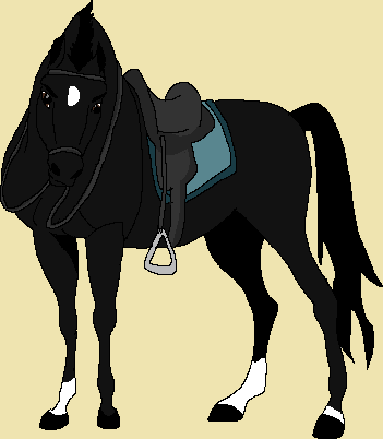 Detail Black Jack