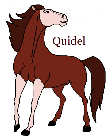 Detail Quidel