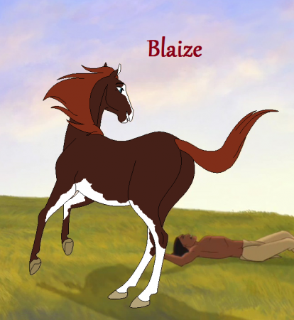 Detail Blaize *HO*