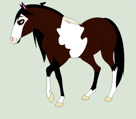 Detail Cyndara