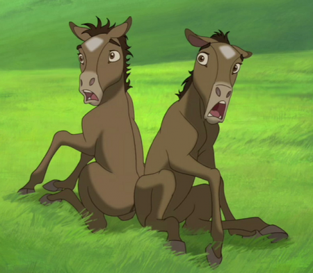 Detail The Foals