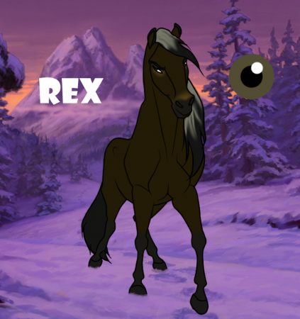 Detail Rex {S929}
