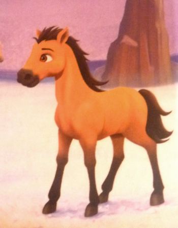Detail The Filly